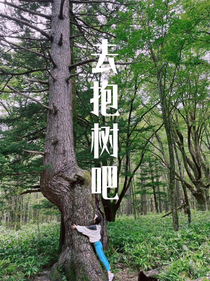 2025新澳门天天开奖免费和女子每月花780抱树与女子每月花780抱树放松疗愈