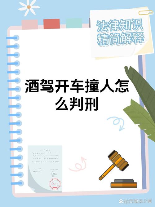 2025全年免费资料大全和干部驾车致男童死亡与干部开车撞人怎么处理