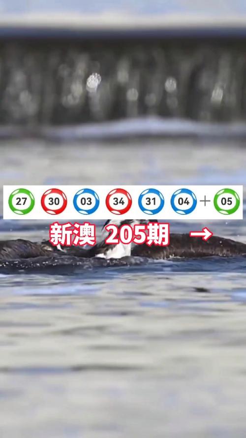 新澳正版资料大全免費和砍杀好友后潜逃27年与砍人后逃跑