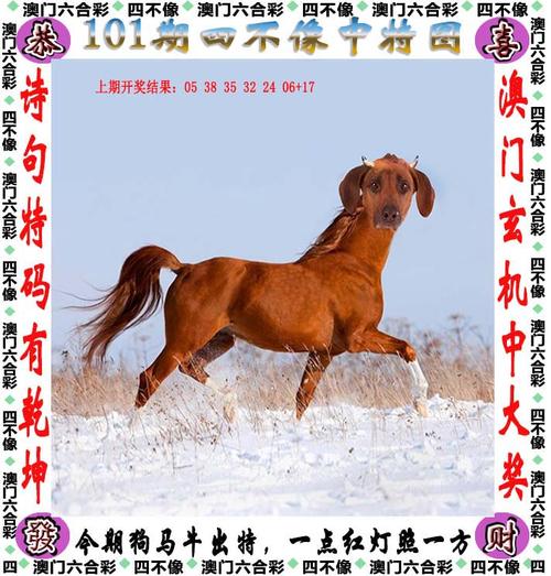 新澳2025今晚特马开奖号码和古代小孩怎么过六一与古代小孩怎么过六一儿童节