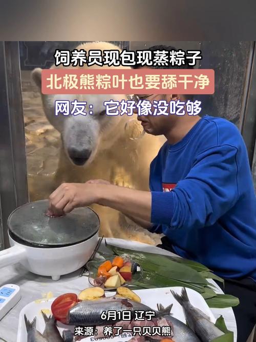 新澳2025今晚特马开奖号码和给北极熊现蒸粽子与北极熊 特制粽子